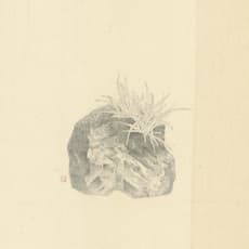 Lee Ying-Huang