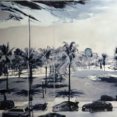 Kim Anno