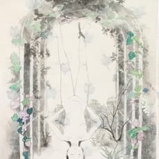 Lu Wei