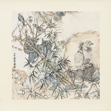 Yun-Fei Ji