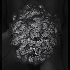 Lars Breuer