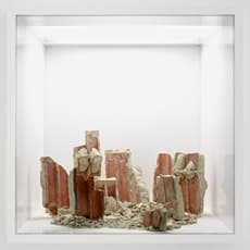Zvi Hecker