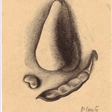 PRIMO CONTI