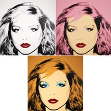 After Andy Warhol