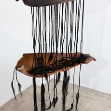 Bridget DeLee