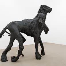 Stella Hamberg