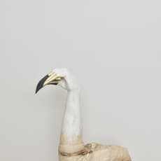 YUTA NISHIURA