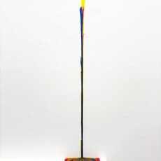 Liza Diekwisch
