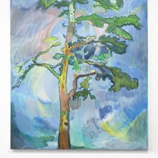 Seth Birchall