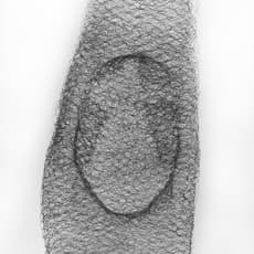 Jane McAdam Freud