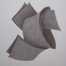 Chen Xi