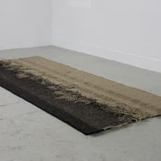 Bram van Breda