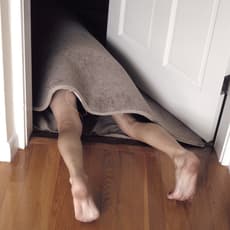 Lee Materazzi