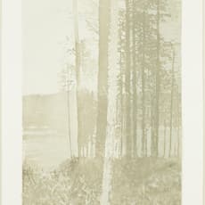 Paul Winstanley