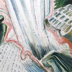 Judith Belzer
