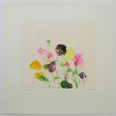 Susan Hambelton