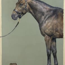Joseph Black