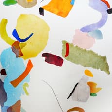 Cathleen Cohen