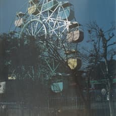 Stephen Gill