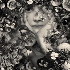 Patrick Gonzales