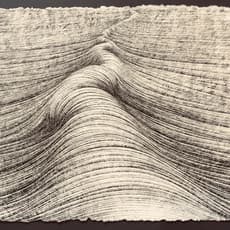 Hyun Joung Lee