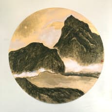 Winnie KS Hui