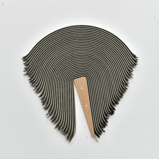 Derrick Velasquez