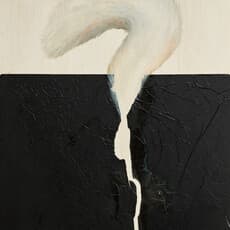 Micky Focke