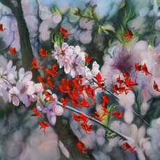 Shi Lifeng