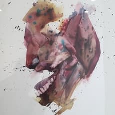 Akira Beard