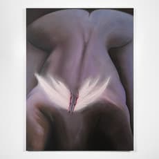 Angel Cotray
