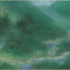 Peng Wei Shin