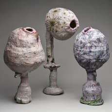 Susan Nemeth