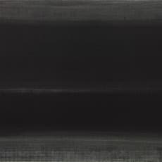Zeng Hong