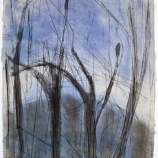 Betty Friedman