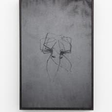 Dries Segers
