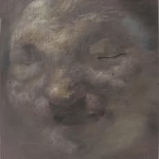 Xia xiao wang