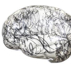 Sandra Brewster