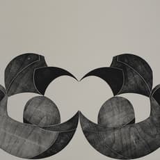 Celia Cook
