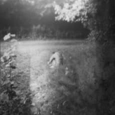 Martin Bogren
