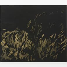 Evi Vingerling