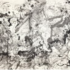 Shigeru Onishi