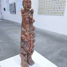 Seni Camara