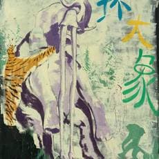 Yang Shen