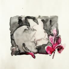 Sue Greeff