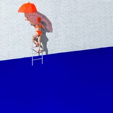 Reine Paradis