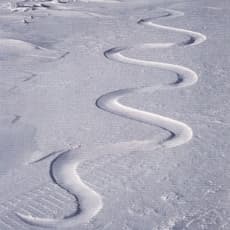 Andy Goldsworthy