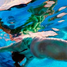 Lorraine Shemesh
