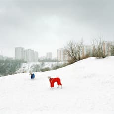 Alexander Gronsky