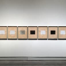 Yanai Toister